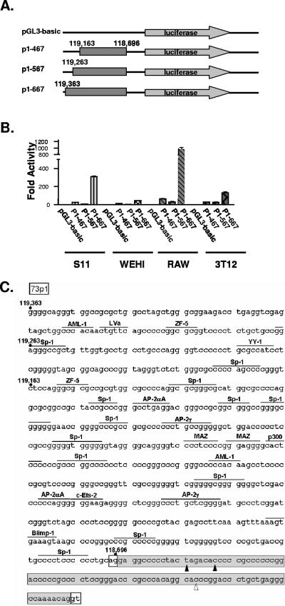 FIG. 2.