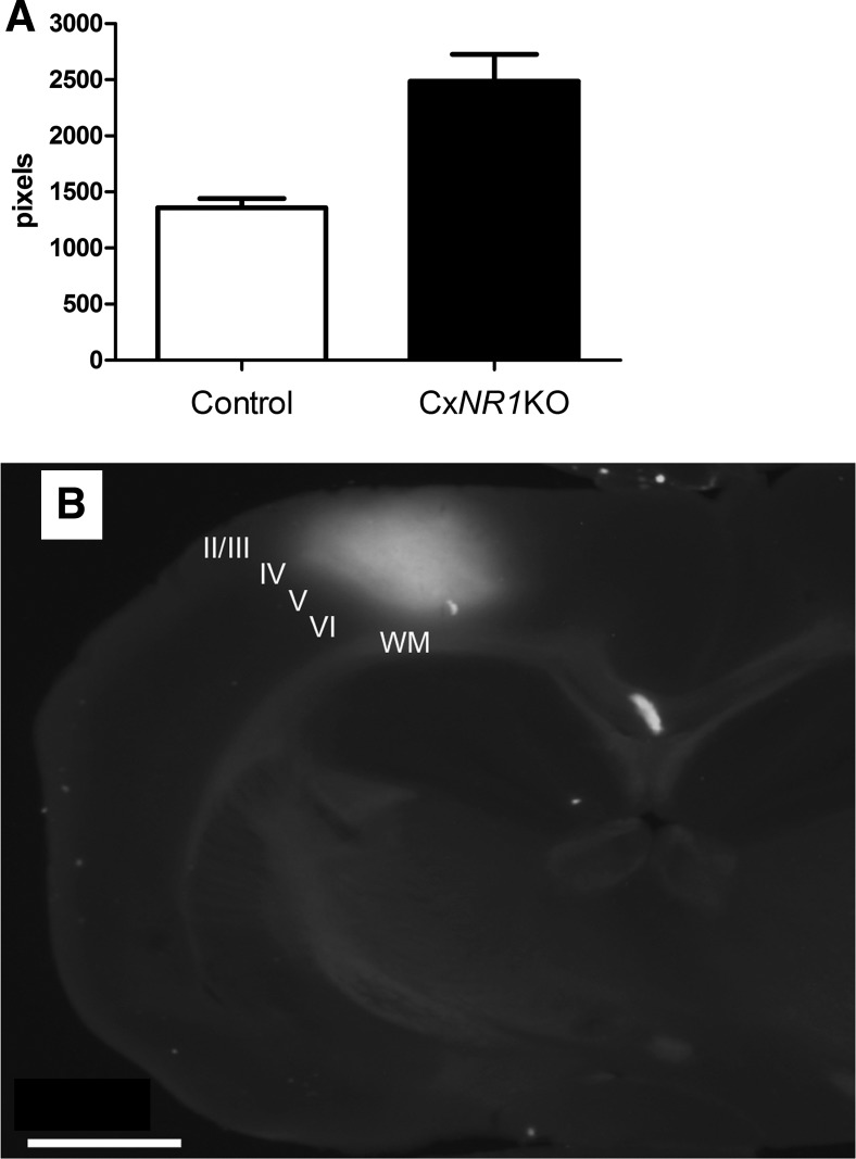 Fig. 9.