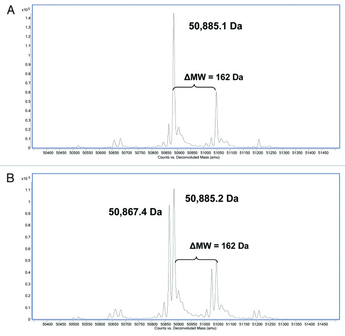 graphic file with name mabs-5-432-g3.jpg