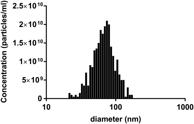 Figure 1