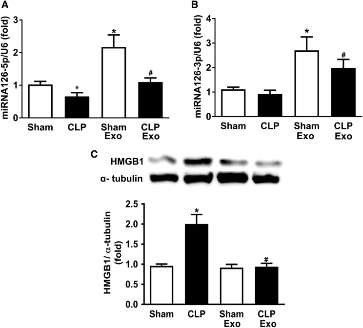 Figure 6