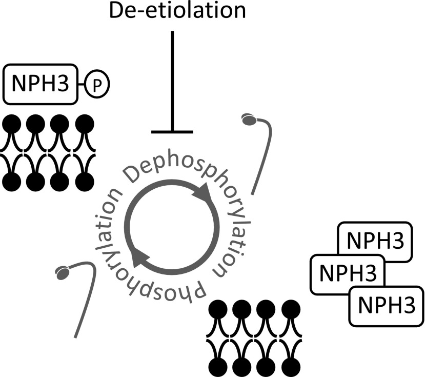 Figure 9.