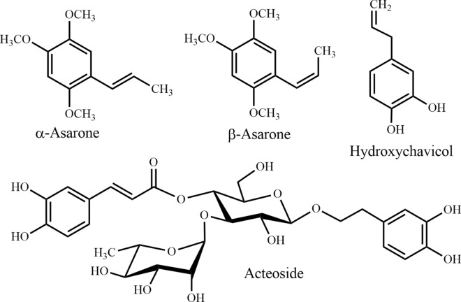 Fig. 12