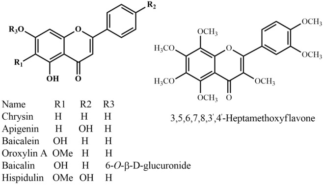 Fig. 11
