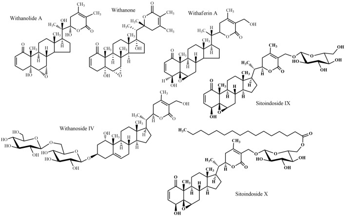 Fig. 10