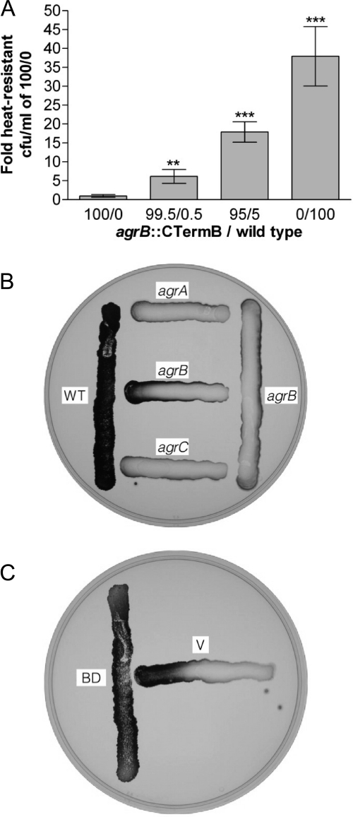 Fig 5