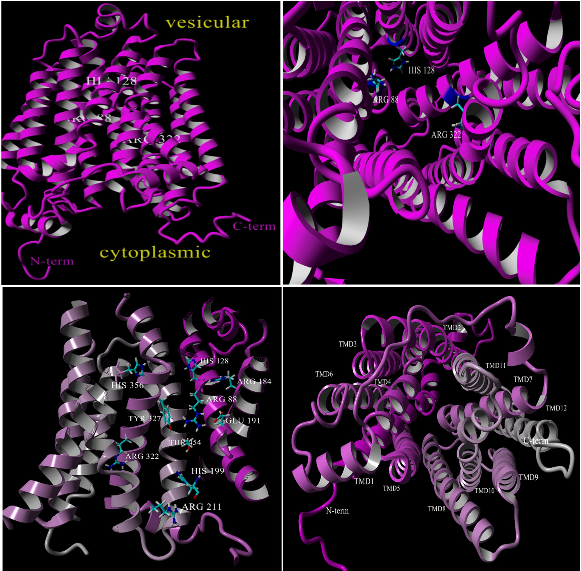 Fig. 2.