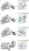 Figure 10
