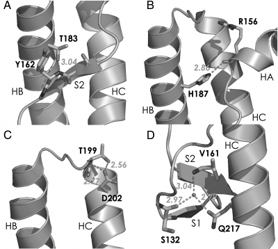 Fig. 5