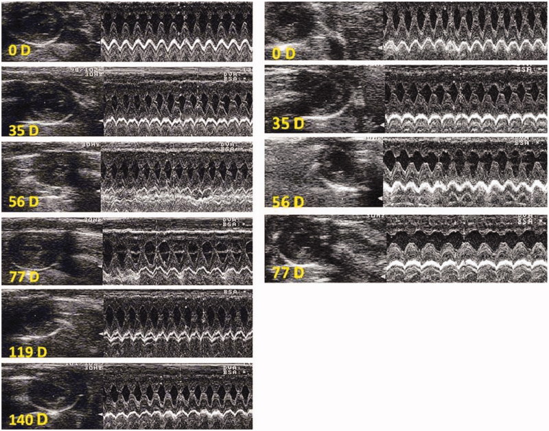 Figure 7.