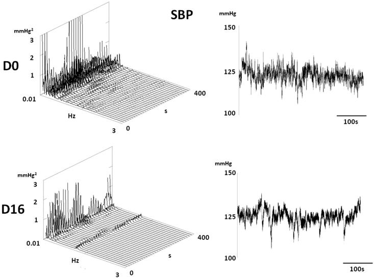 Figure 12.