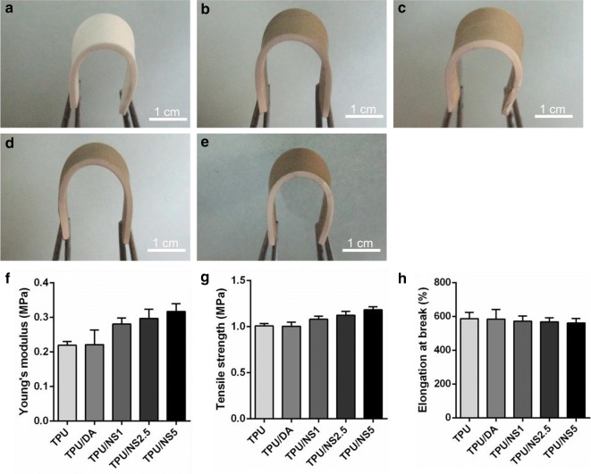 Fig. 2