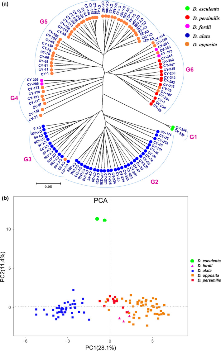 FIGURE 3