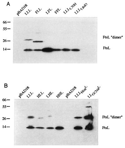 FIG. 6