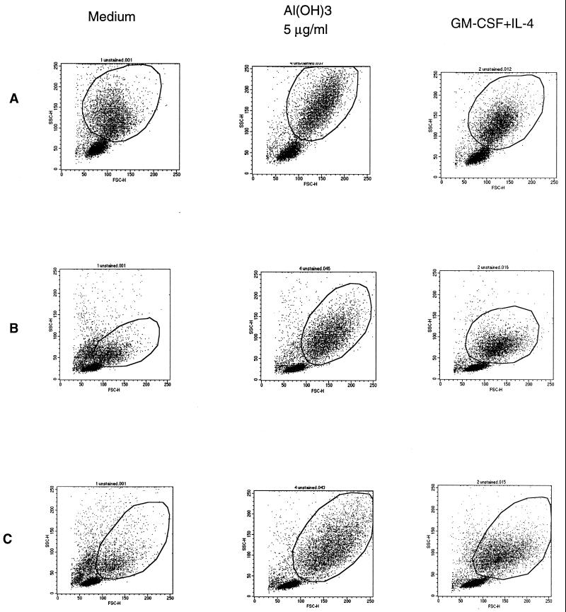 FIG. 1