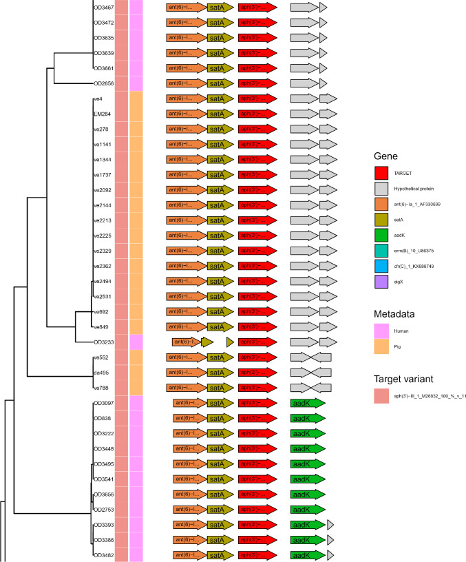 Fig 6