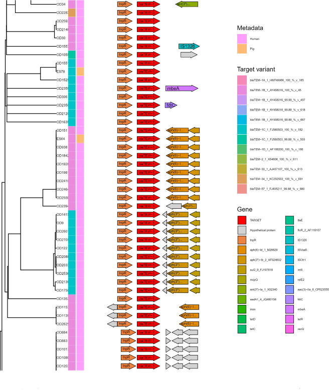 Fig 5