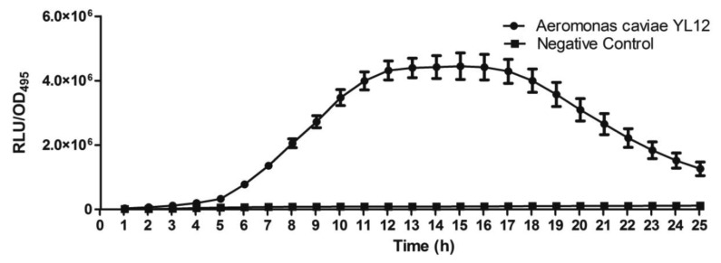 Figure 2.