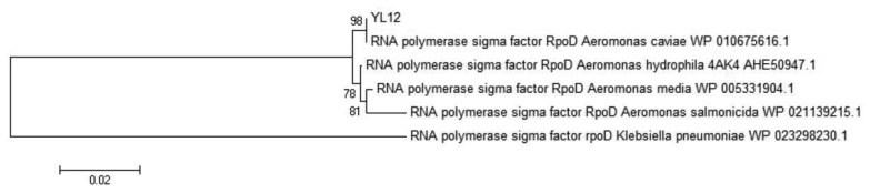 Figure 4.