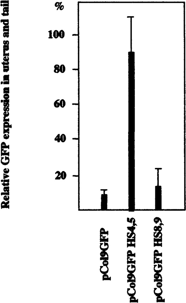 FIG. 6