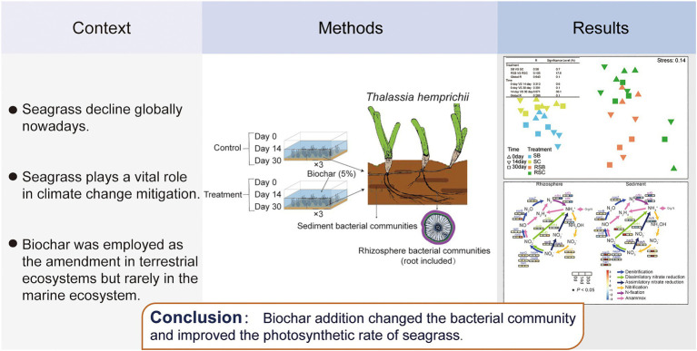 Graphical Abstract