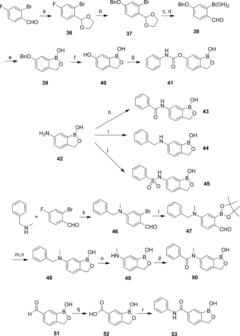 Scheme 4