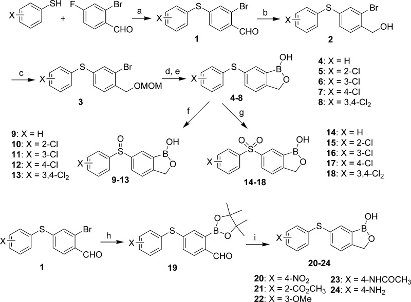 Scheme 1