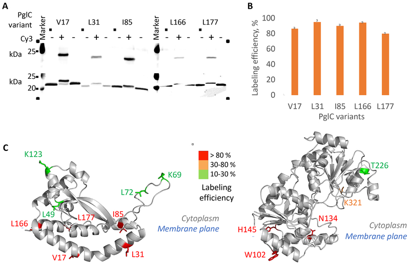 Figure 4.