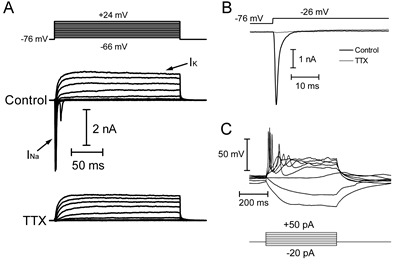 Figure 6.