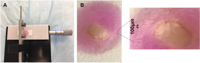 Figure 4.