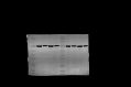 figs13