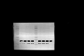 figs12