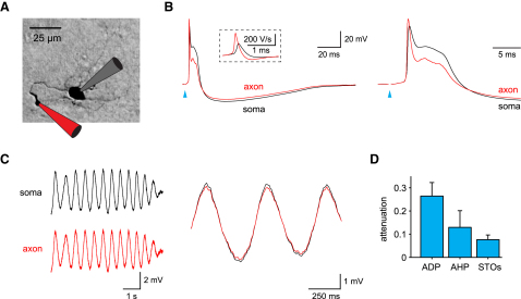 Figure 3