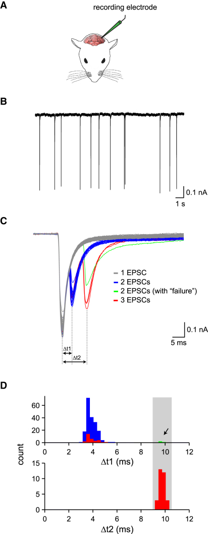 Figure 6