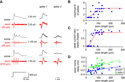 Figure 2