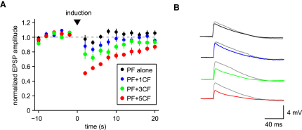 Figure 9