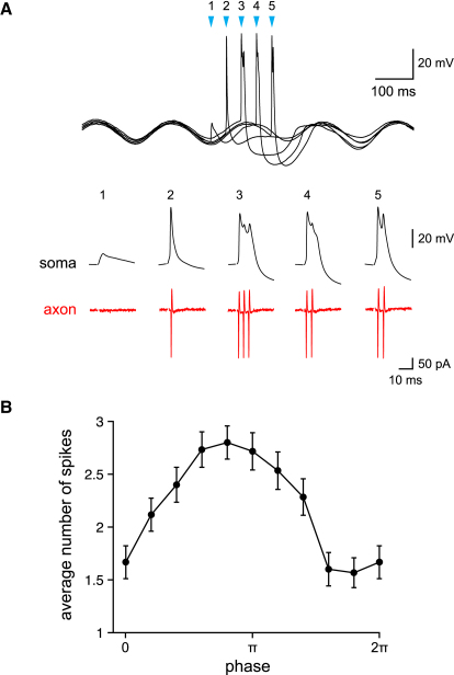 Figure 4