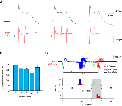 Figure 5