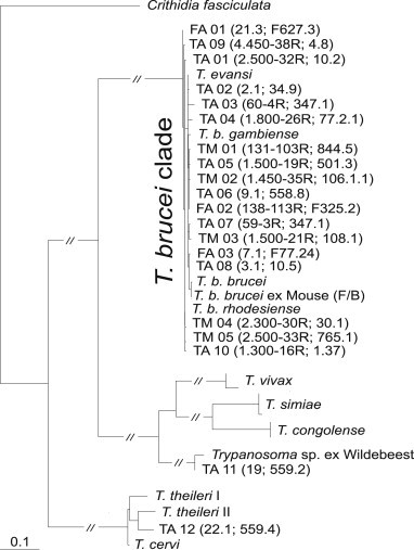 Fig. 2