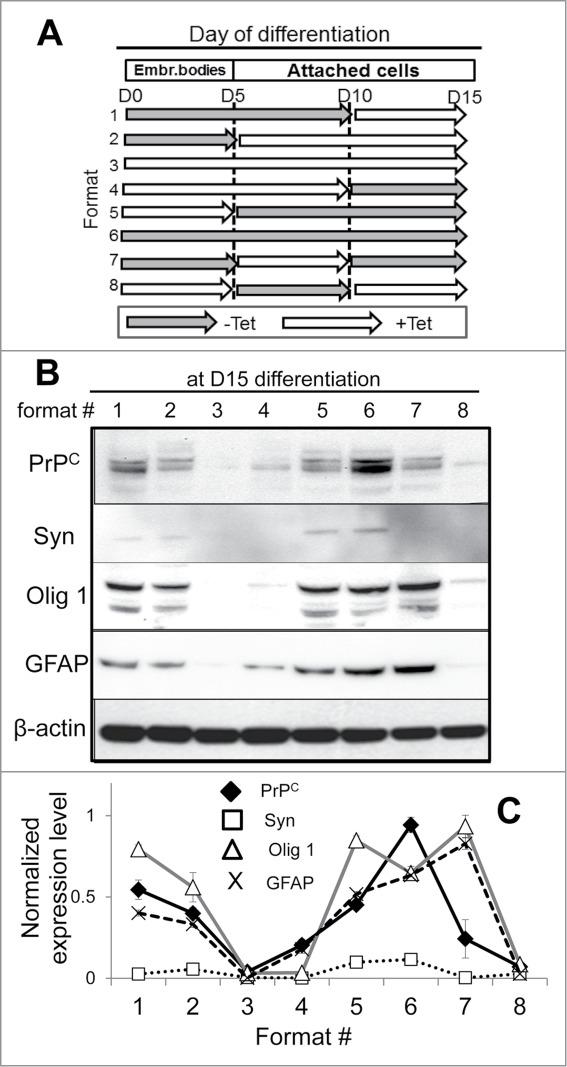 Figure 5.