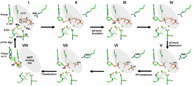 Figure 7.