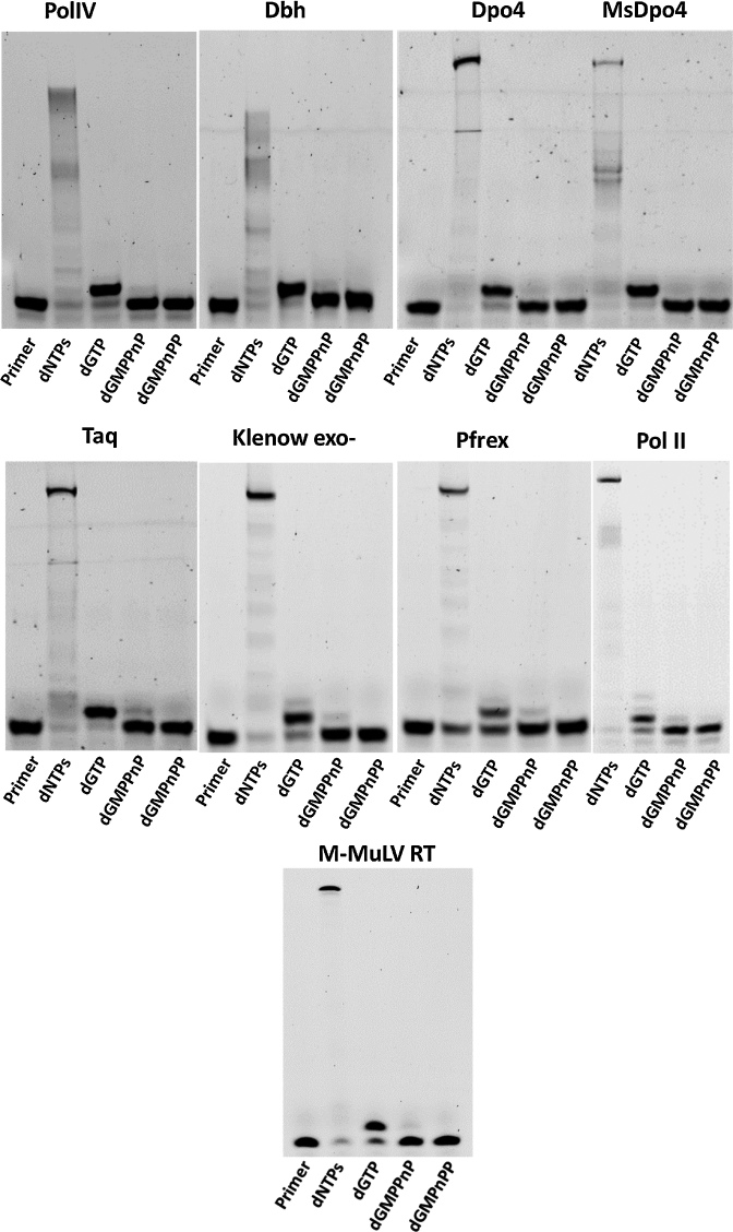 Figure 4.