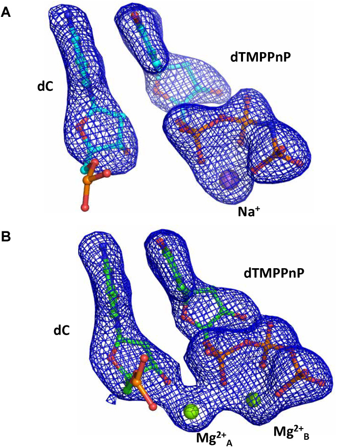 Figure 6.