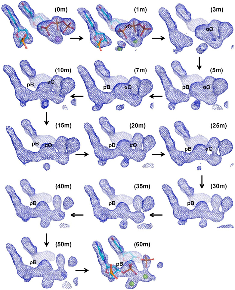 Figure 2.