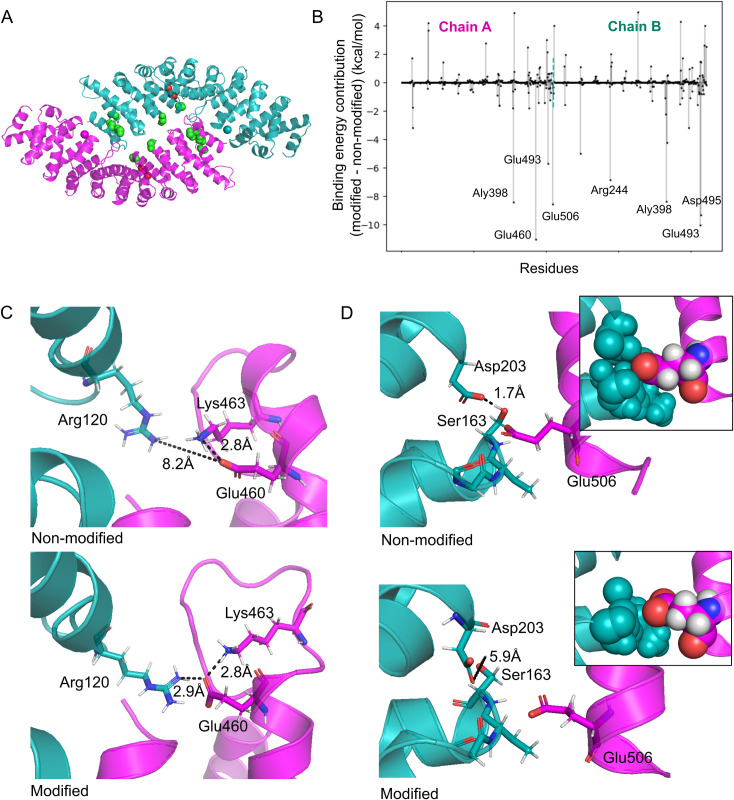 Fig 6