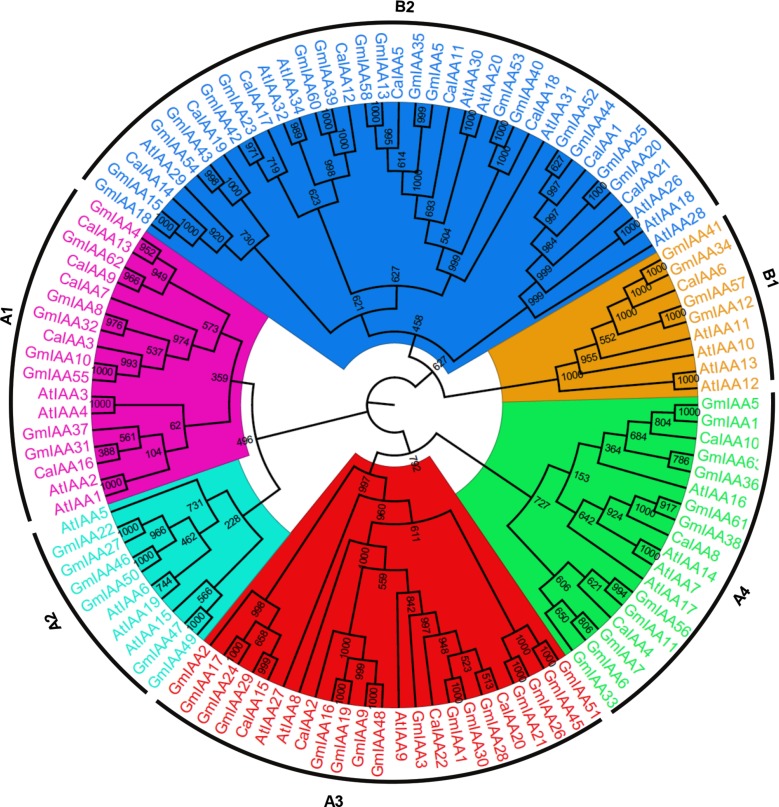 FIGURE 1