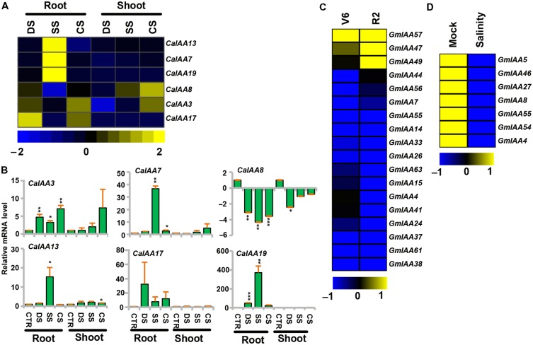 FIGURE 6