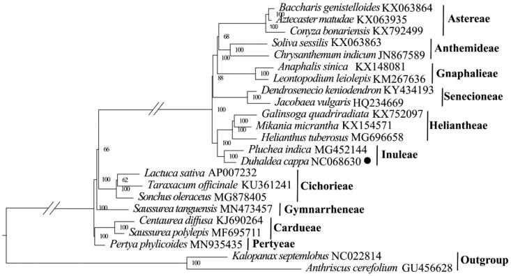 Figure 3.