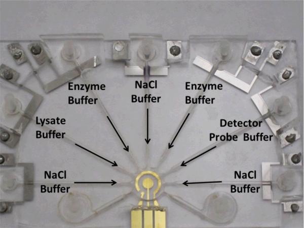 Fig. 7