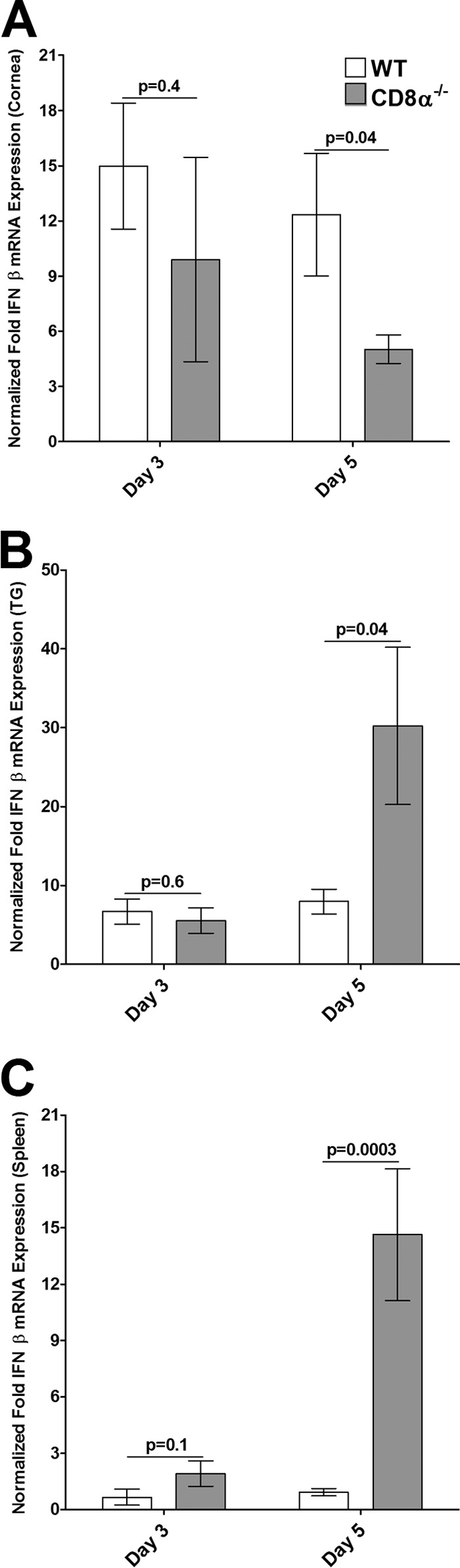 FIG 7